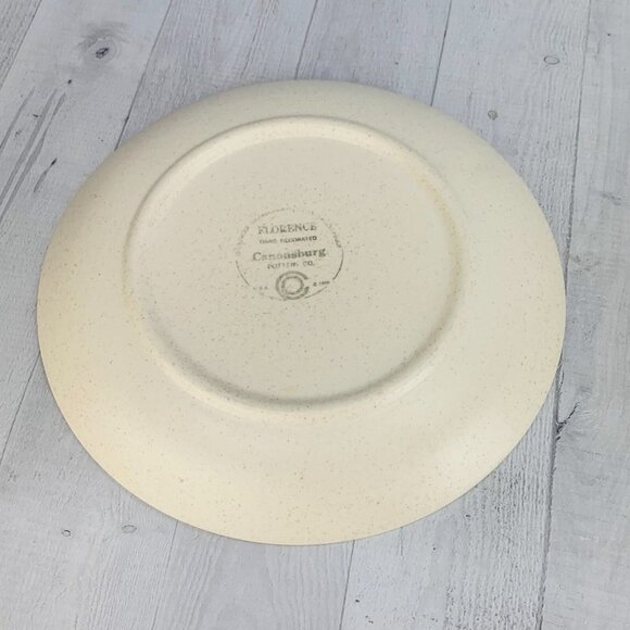 MCM 1960's Canonsburg FLORENCE Beige Speckled Blue Floral Dinner Plates Set 3 - Picture 7 of 9